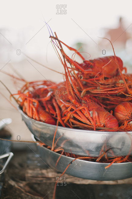 Pots of fresh lobsters, Brazil