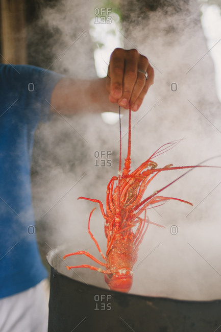 Dipping lobster in hot water