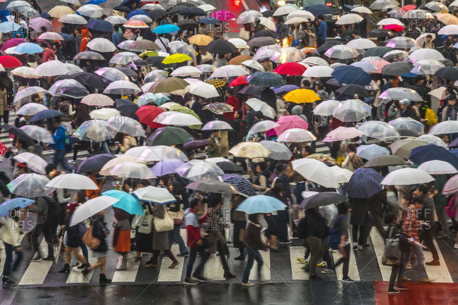 View of Shibuya Crossing in Tokyo, Japan