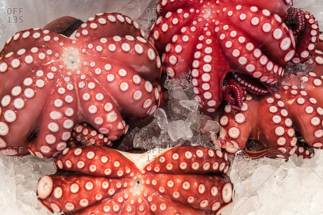 Octopus tentacles, Tsukiji Central Fish Market, Tokyo, Japan