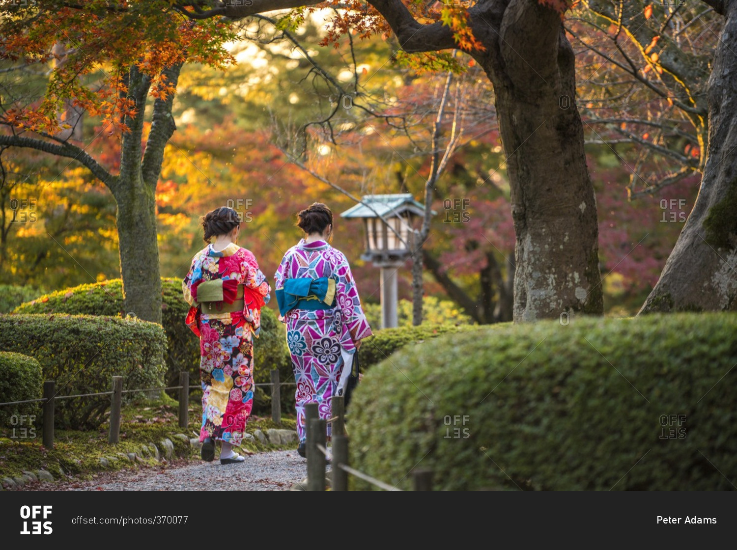 Young women in traditional Japanese dress walking in Kenrokuen Garden, Kanazawa, Japan