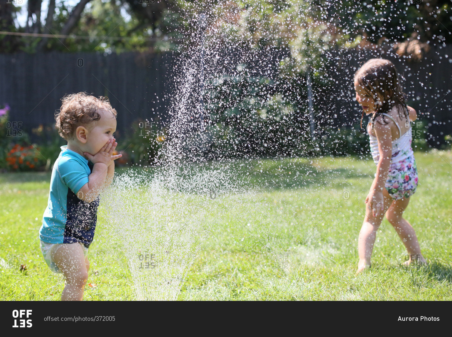 Playing in the sprinkler