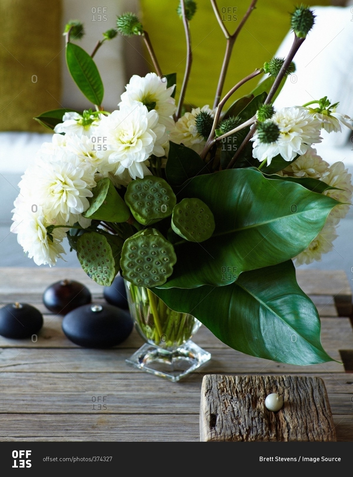 Vase of organic plants and white flowers on table