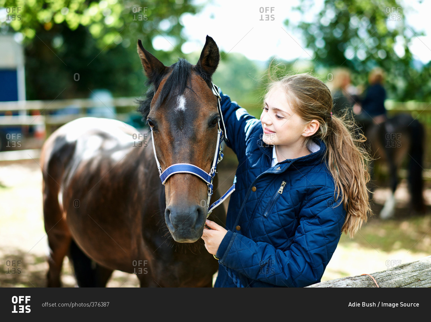 Girl putting halter onto horse