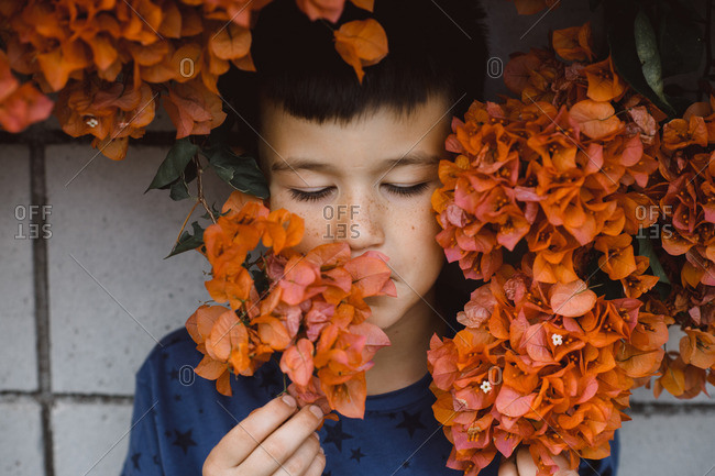 Portrait of a boy standing against a wall surrounded by orange flowers