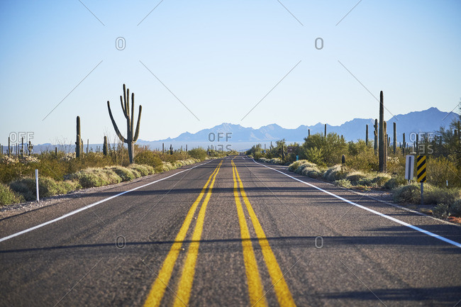 Road through Arizona desert