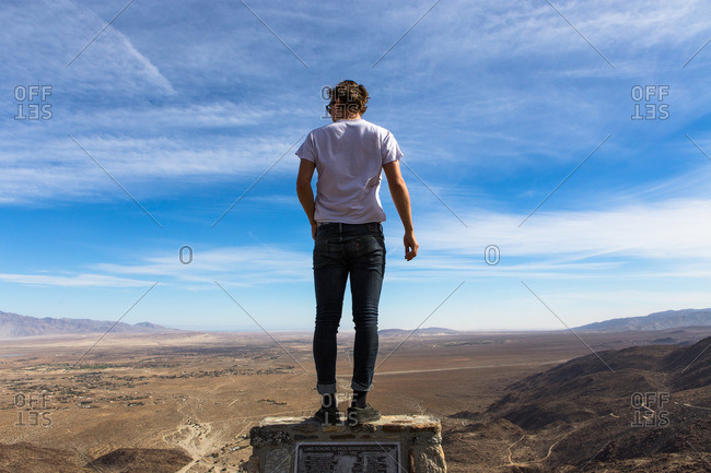 Rear view of young man looking out over landscape, Anza-Borrego Desert State Park, California, USA