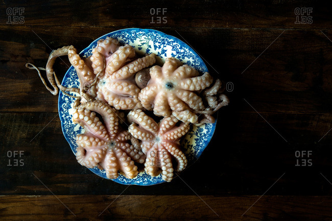 Baby octopus in a bowl