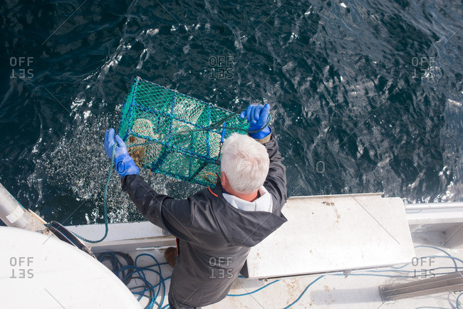 Man lifting lobster cage out of water