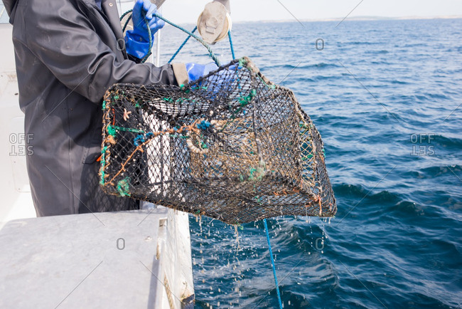 Man lifting lobster trap out of water