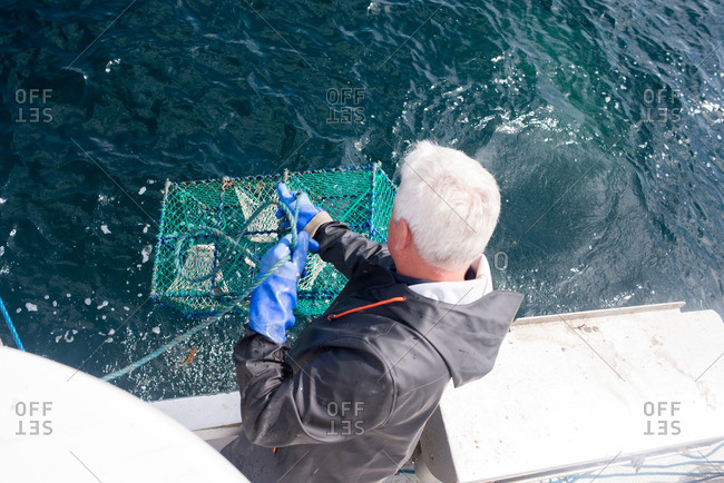 Man lowering lobster trap into the water