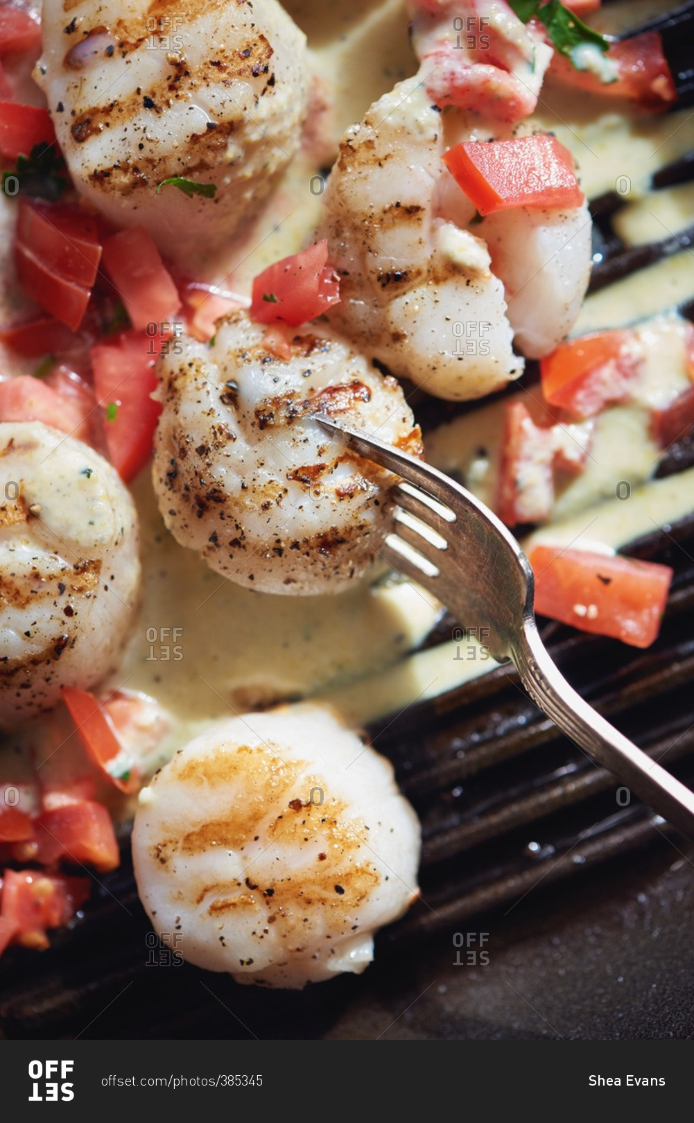 Grilled scallops tomatoes and corn coulis sauce in cast iron pan stock