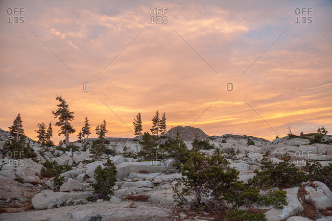 Pine trees set against a sunset in Desolation Wilderness outside Tahoe, California