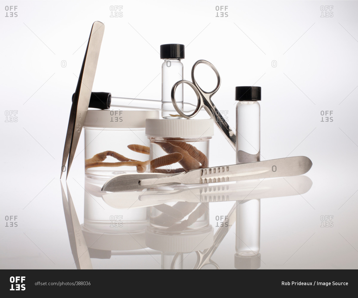 Still life with forensic equipment and preserved earth worms in container