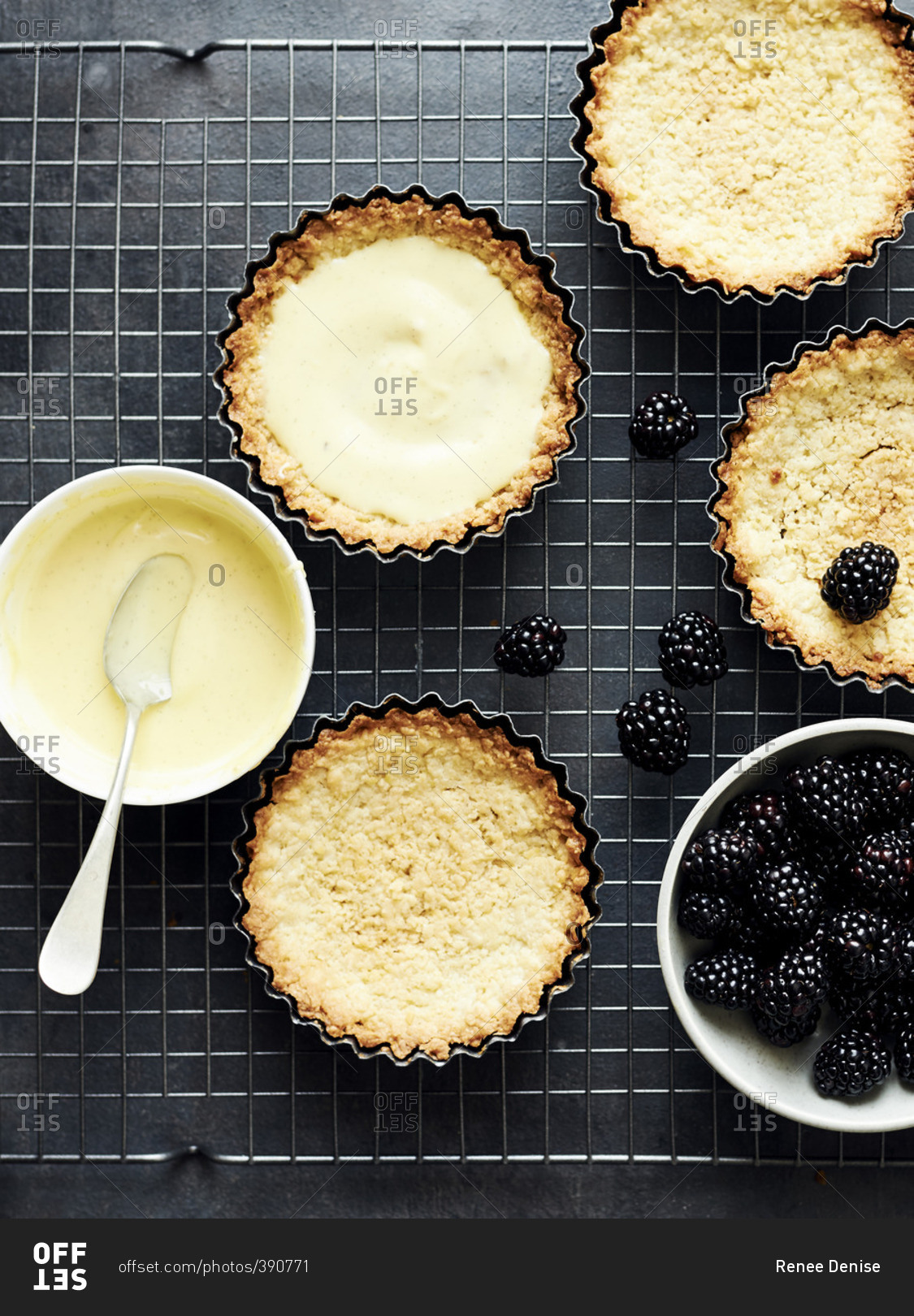 Fresh blackberry and vanilla custard tarts on a baking rack
