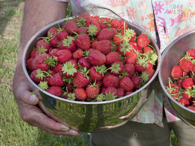Man holding two containers of strawberries