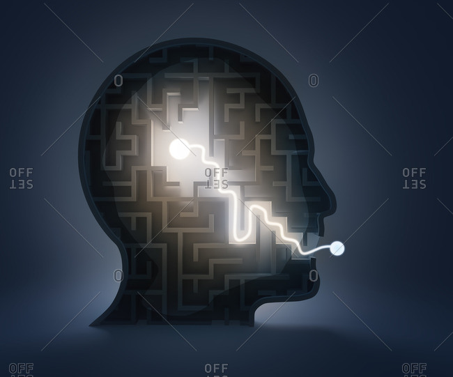 Human head in shape of maze