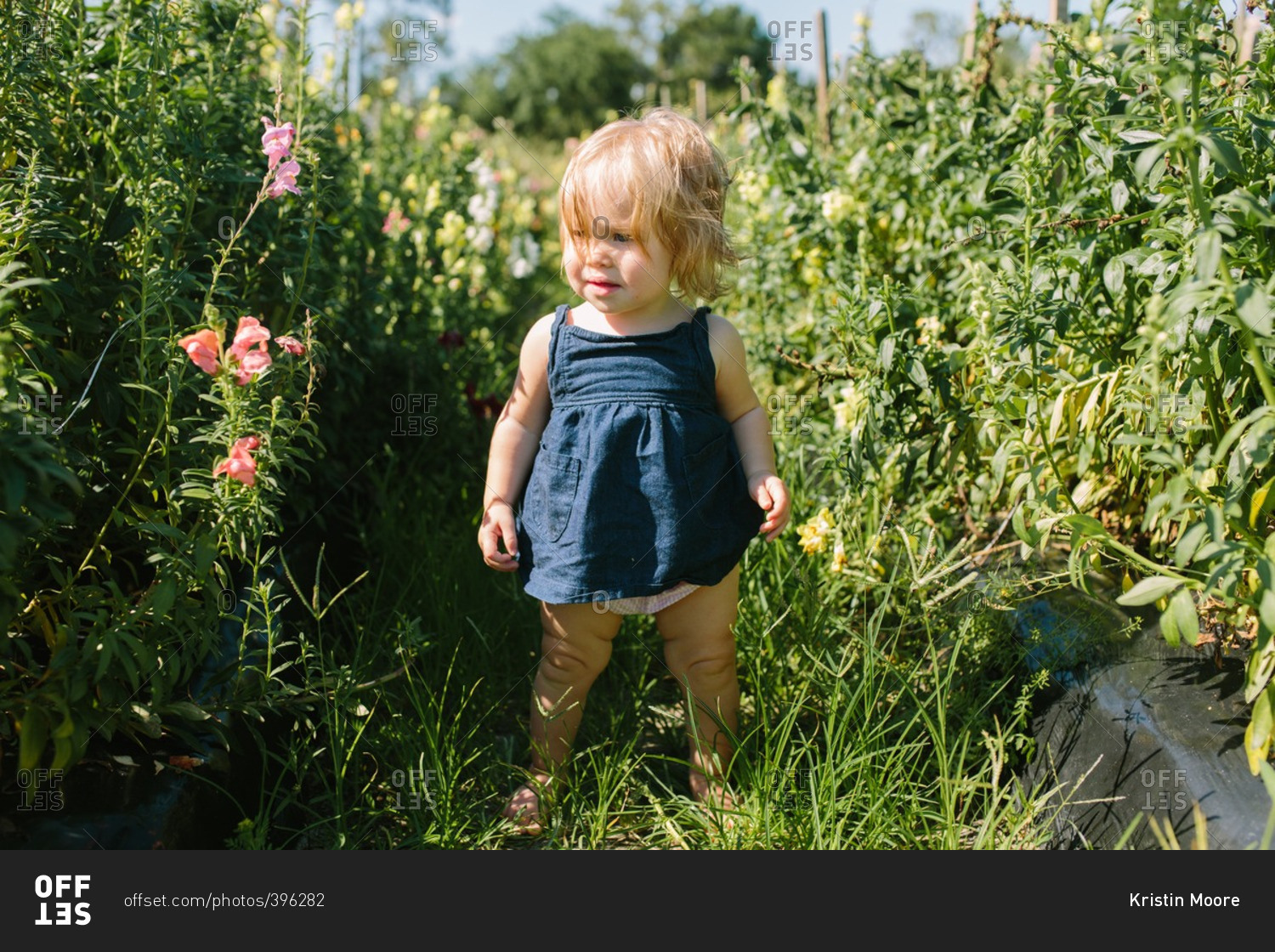 Cute toddler girl standing among flowers in field