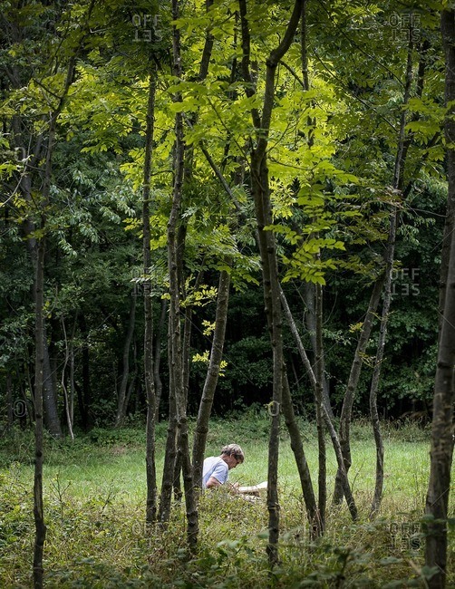 Man Carving Wood in Wooded Field