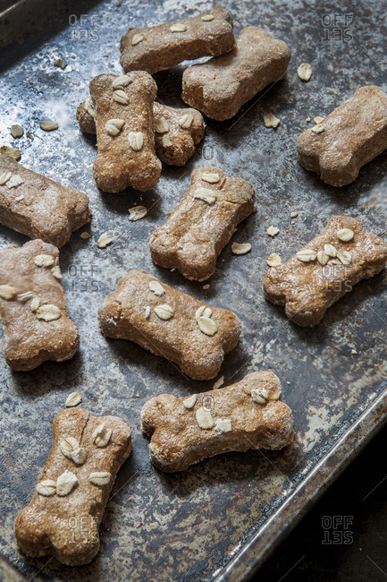 Homemade Dog Treats