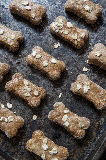 Homemade Dog Treats