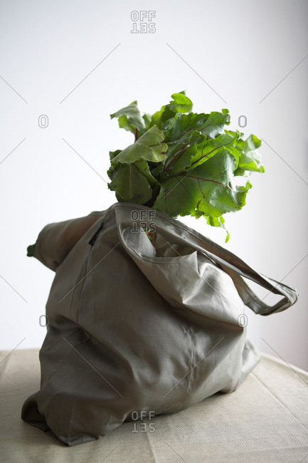 Sack of fresh leafy vegetables, studio shot