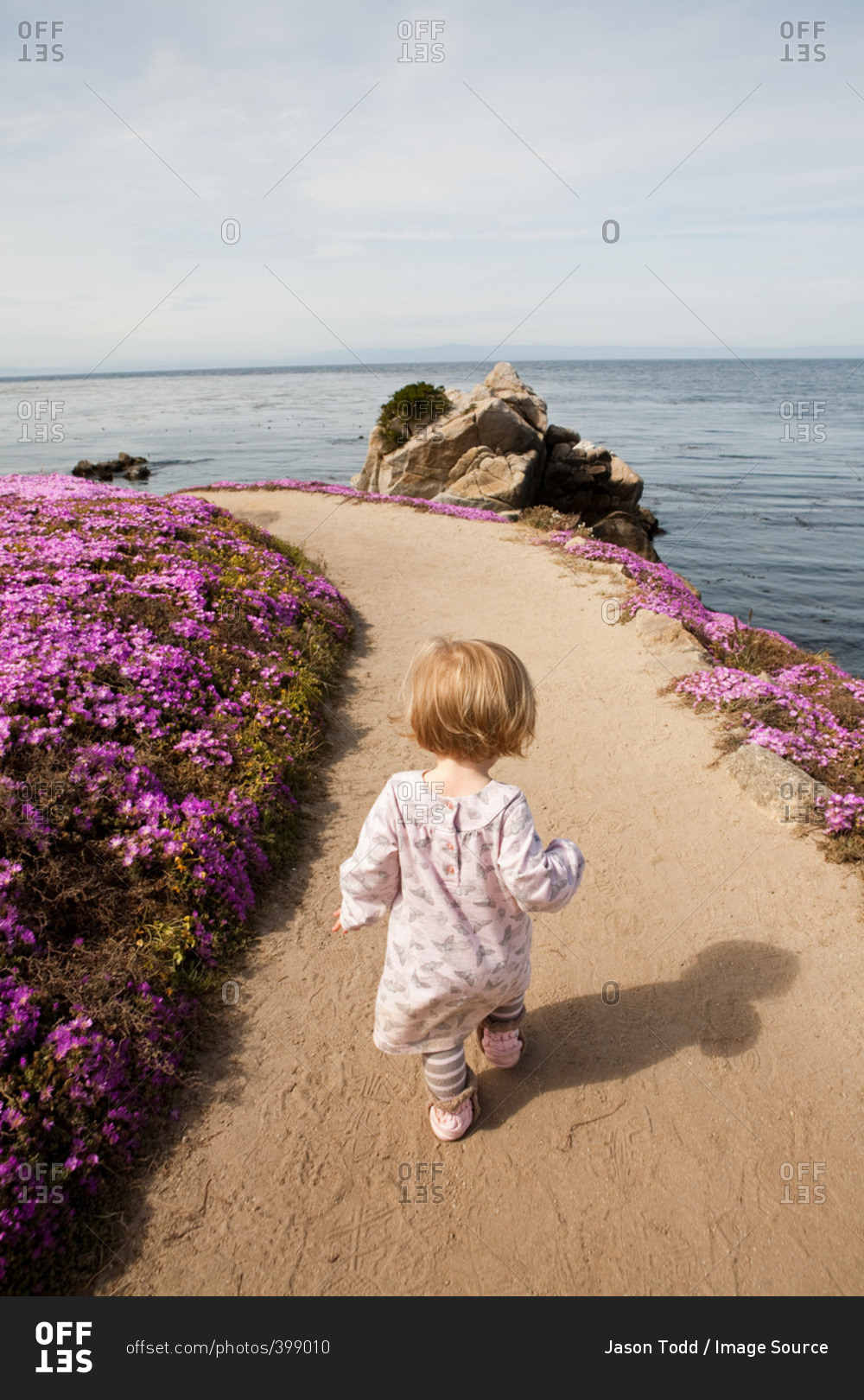 Toddler walking along path next to pink flowers