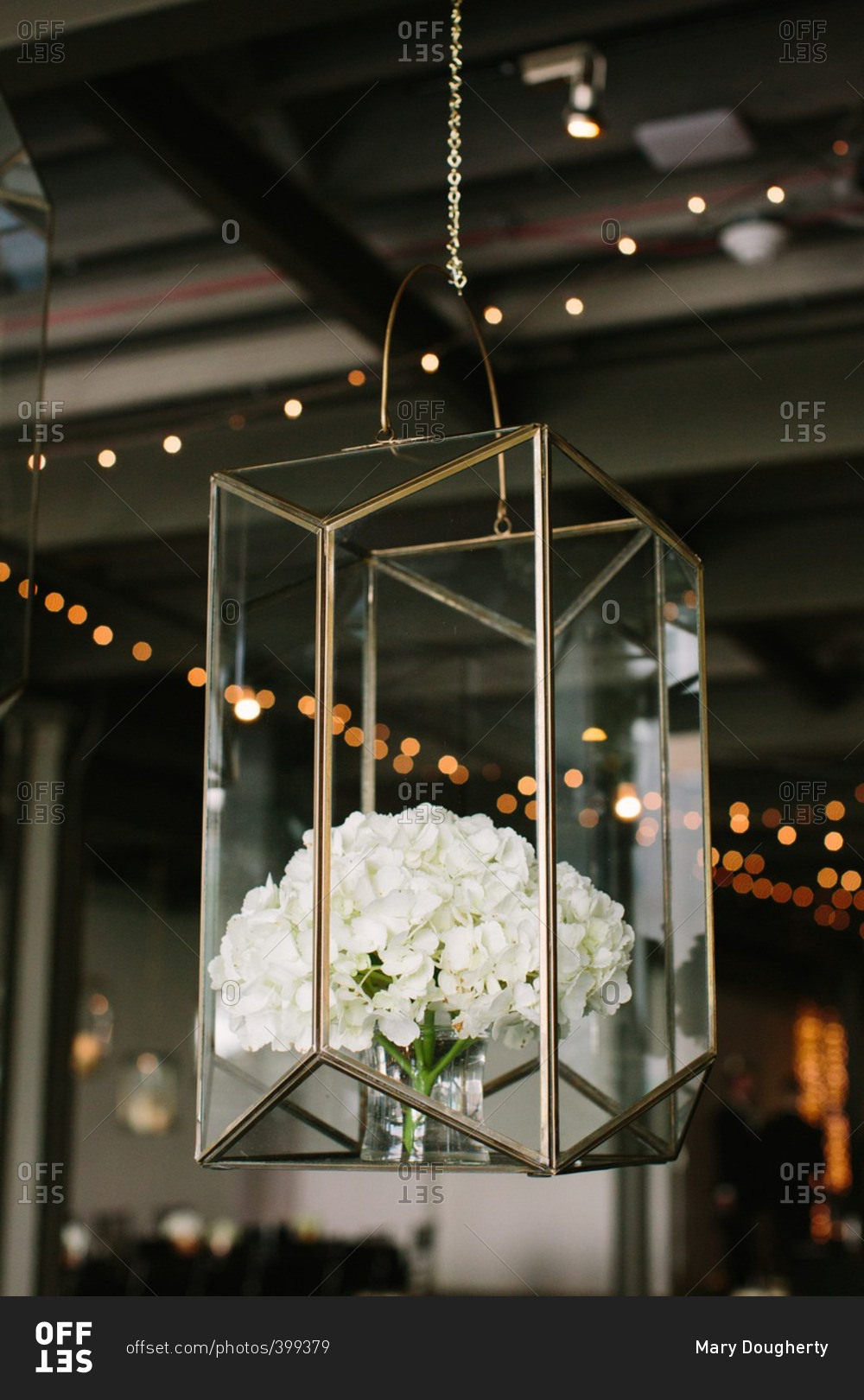 White hydrangea arrangement in hanging glass box