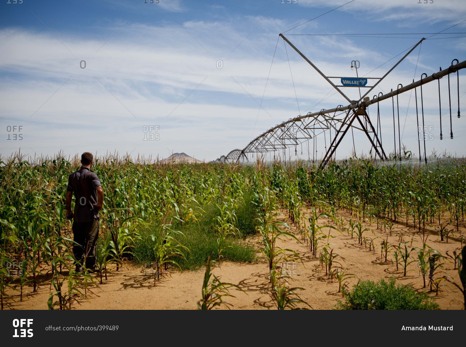 A man inspects irrigation machinery in Egypt's Western Desert