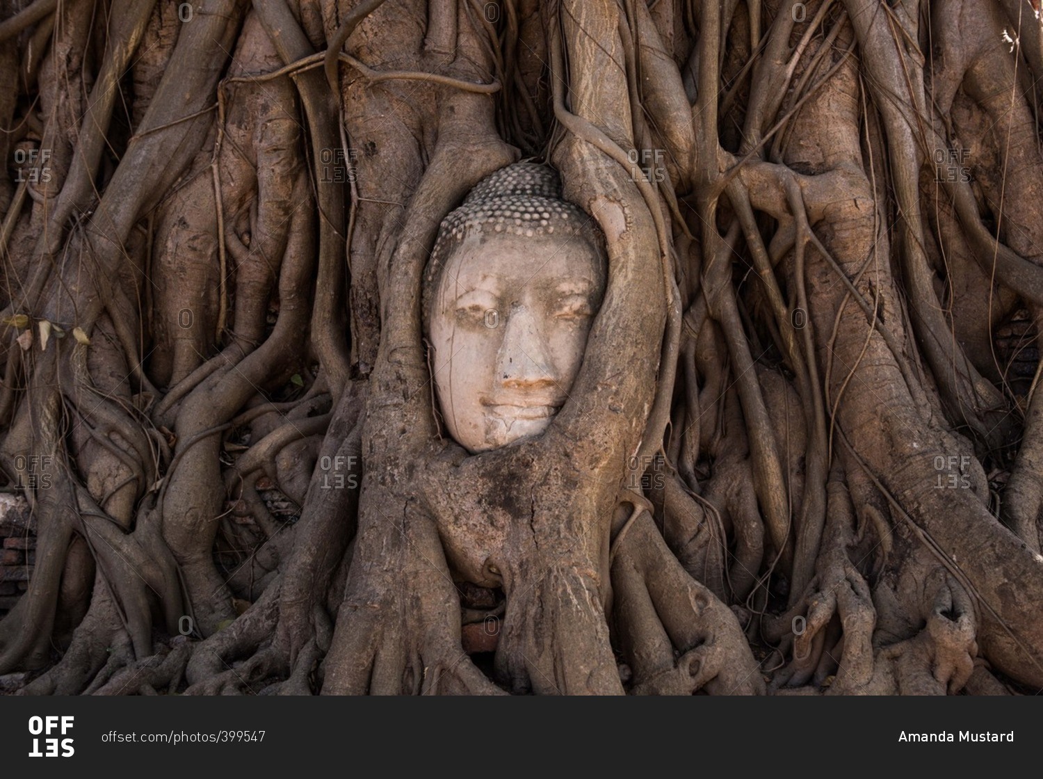 Находки Будды