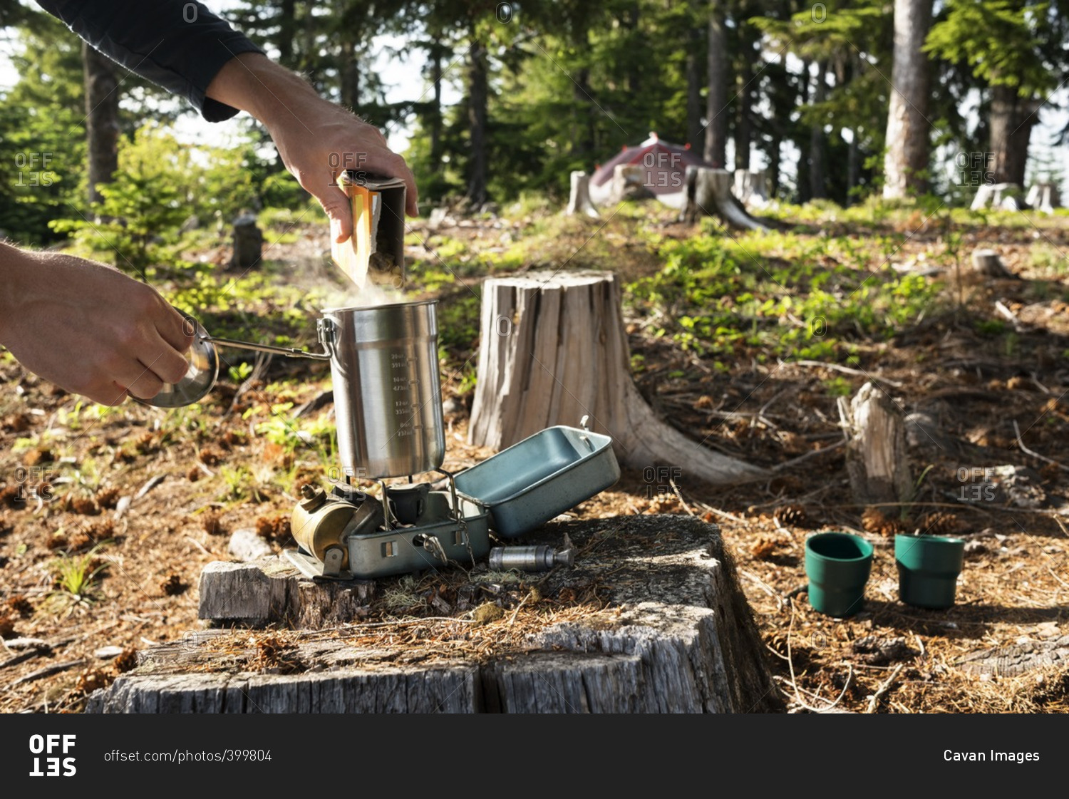 Cropped image of man pouring food in container over camping stove in forest