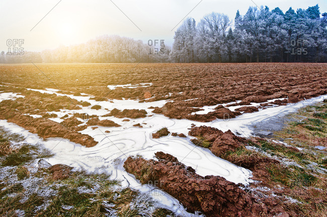 Frozen field