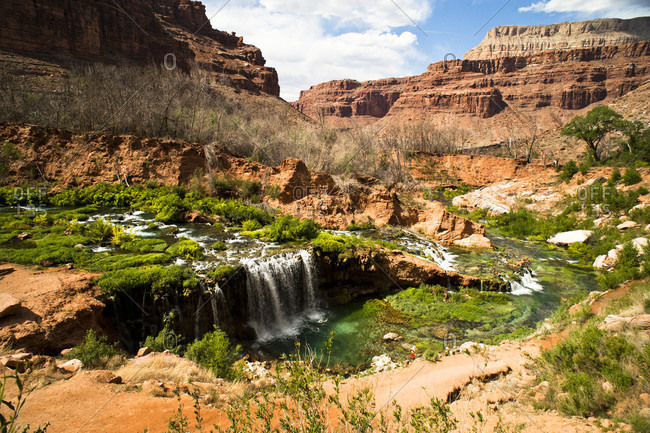 Fifty Foot Falls in the Grand Canyon