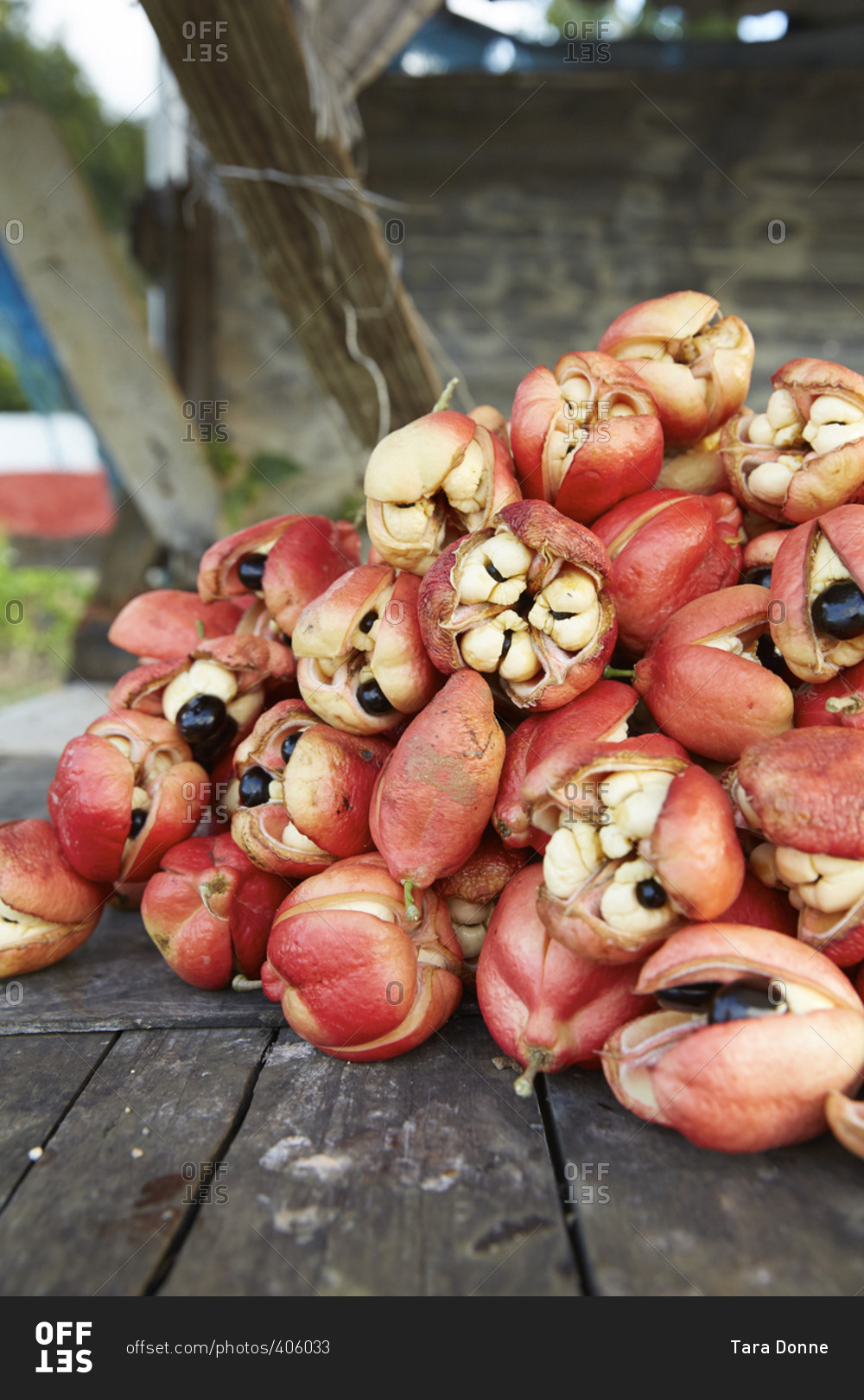 Ackee fruit at a fruit stand near Falmouth, Jamaica