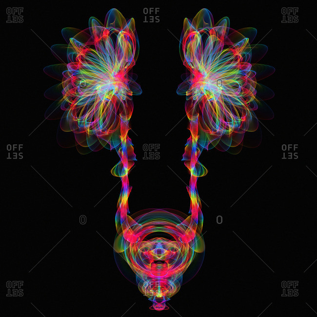 Human urinary system, illustration