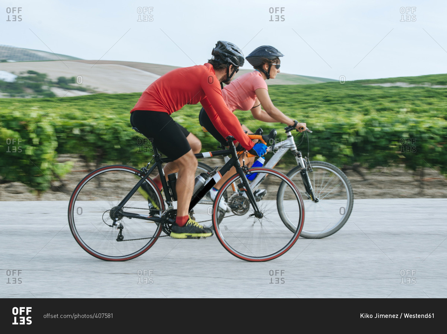 Spain- Andalusia- Jerez de la Frontera- Couple on bicycles on a road between vineyards