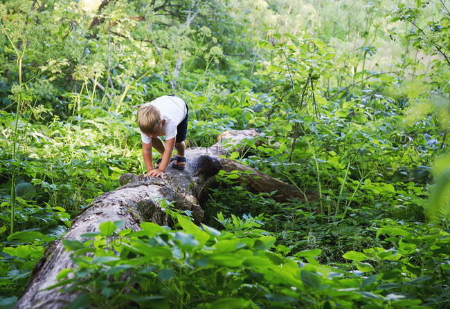 Little boy crawling across fall tree in the forest