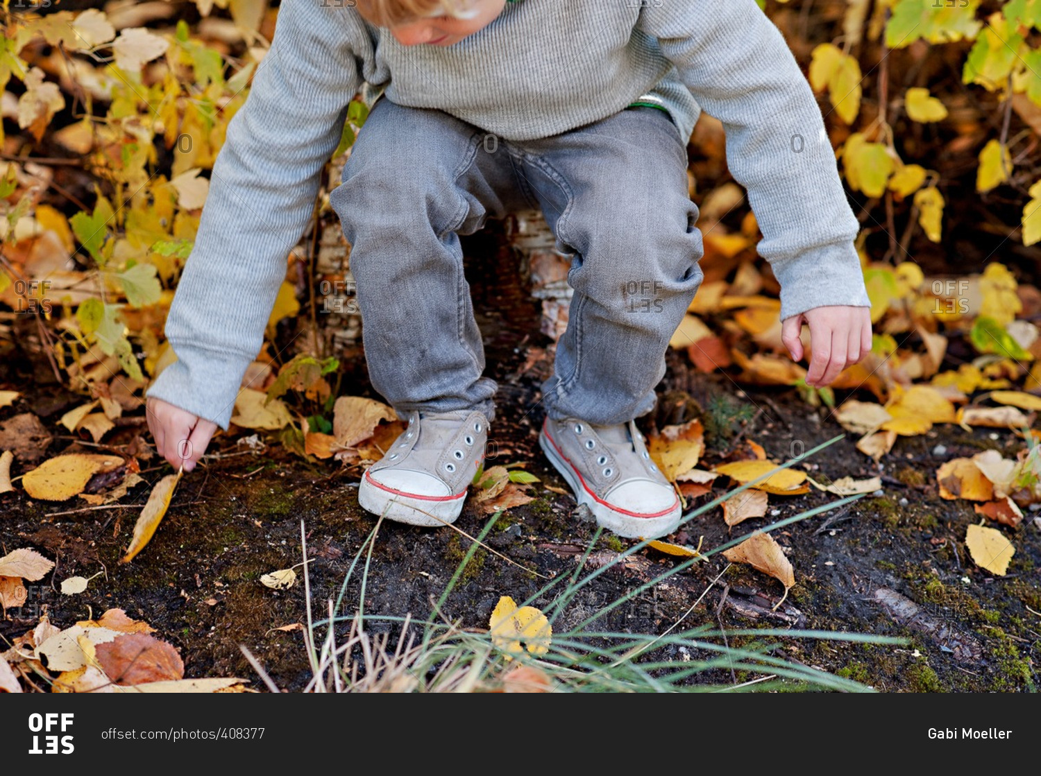 Boy reaching down to pick up a yellow leaf