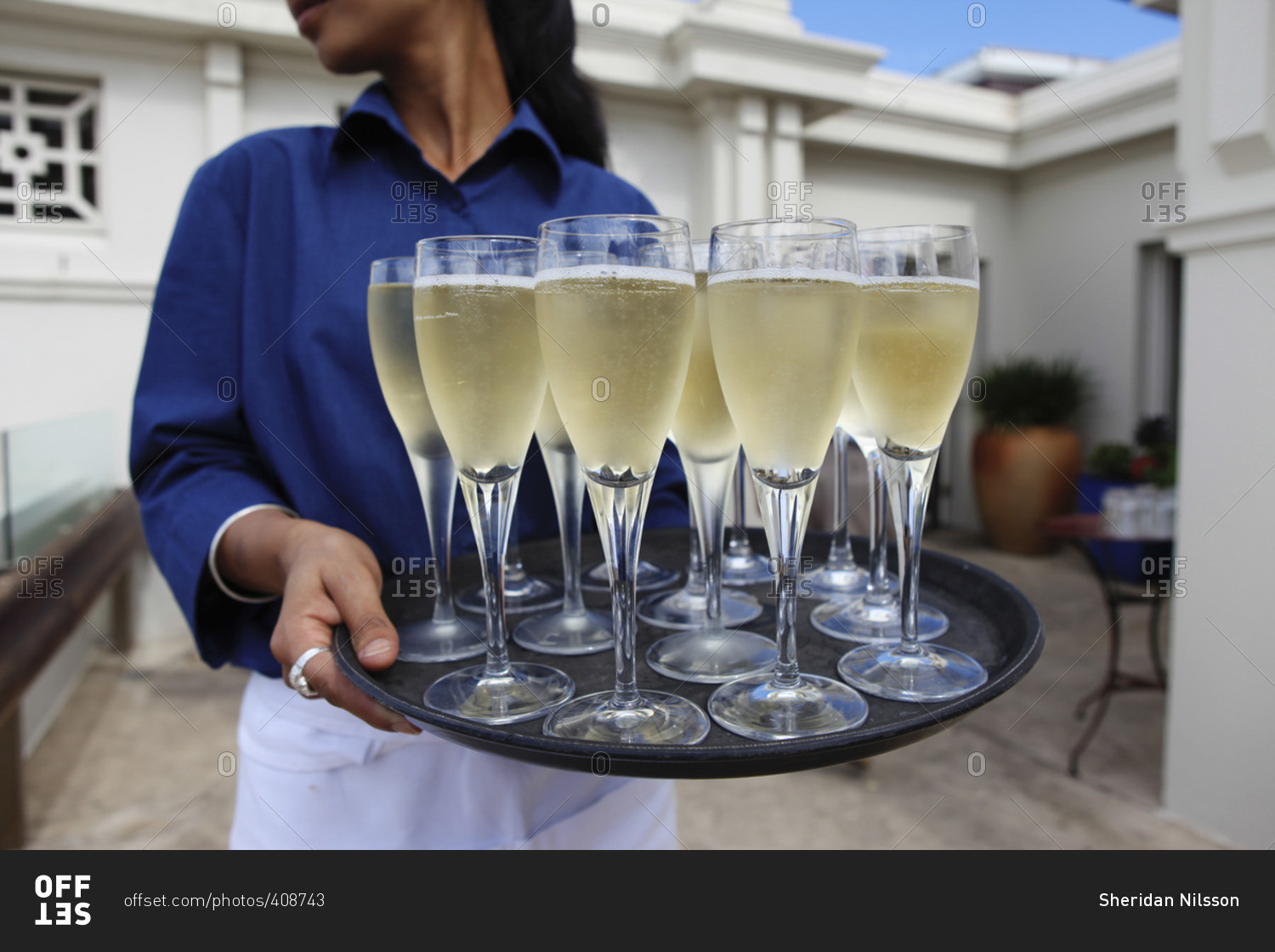 Server carrying glasses of champagne on a tray stock photo OFFSET