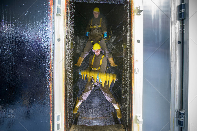 Workers placing haddock fillets inside smoke house in food factory