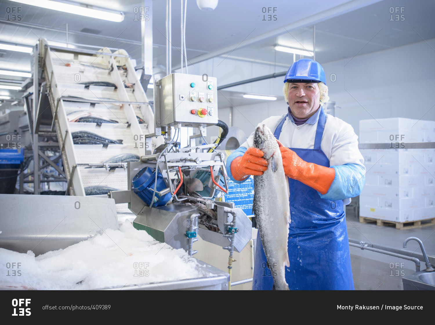 Portrait of worker in food factory holding fresh salmon next to machinery