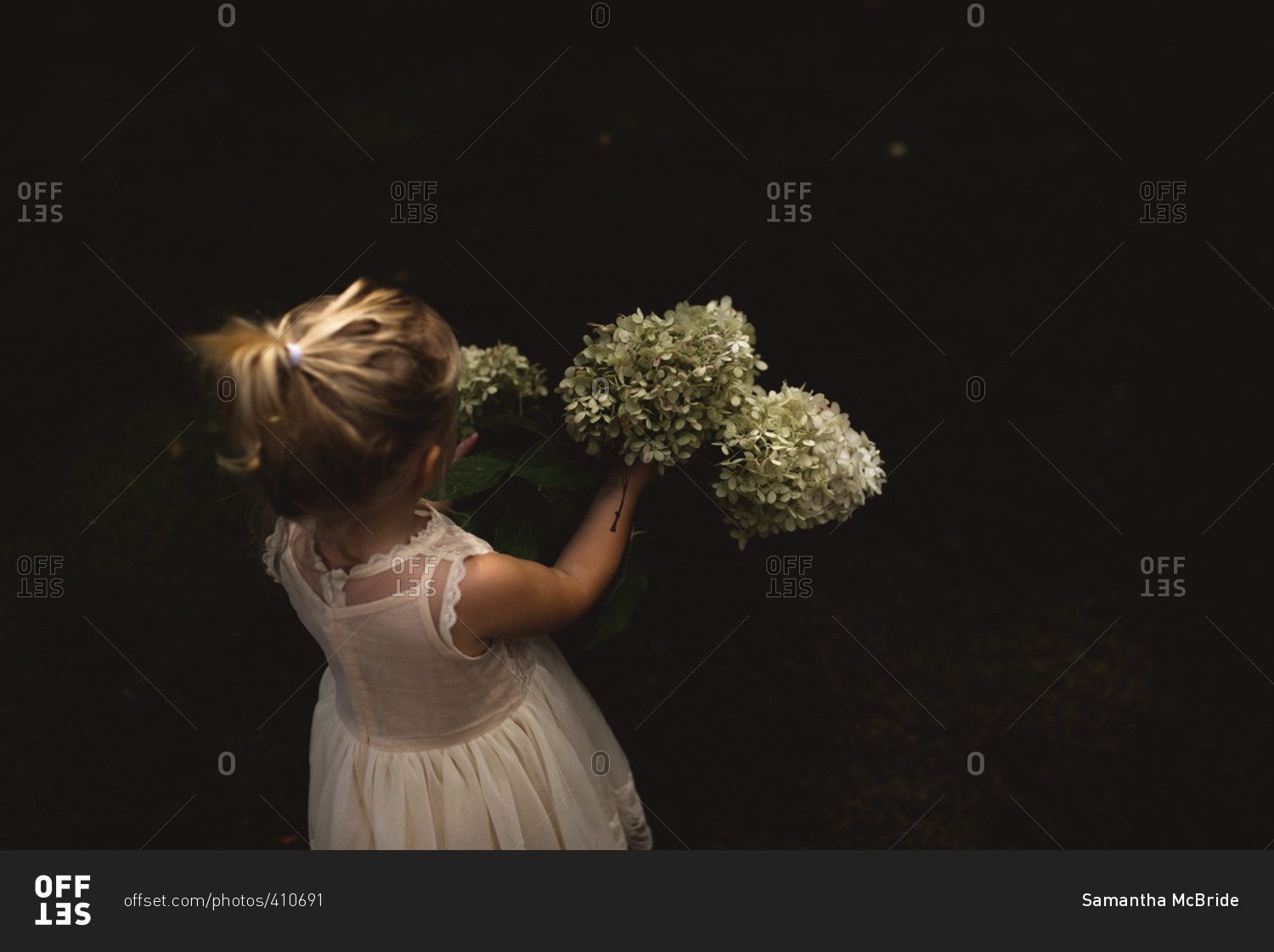 Toddler girl in white dress with hydrangea flowers