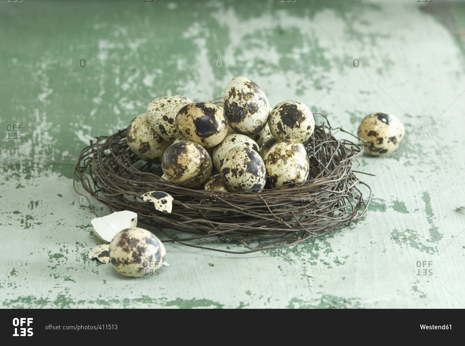 Easter nest of quail eggs