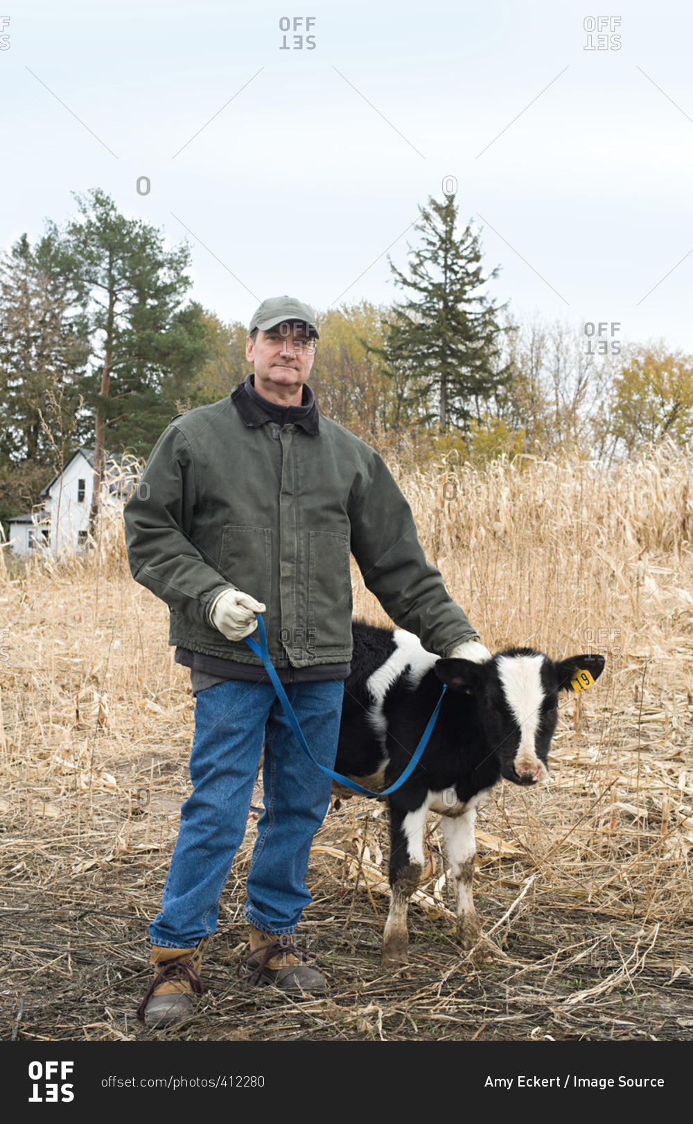 Farmer with calf