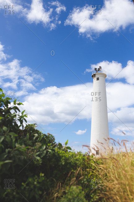 Lighthouse framed by foliage - Offset