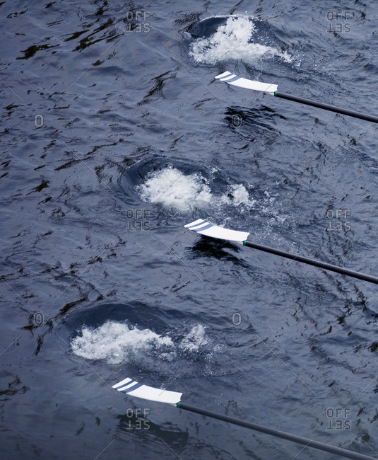 Oars of a competitive rowing boat splashing in the water