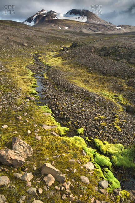 Icelandic moss alongside mountain stream at remote volcanic location in Kjoslur highlands