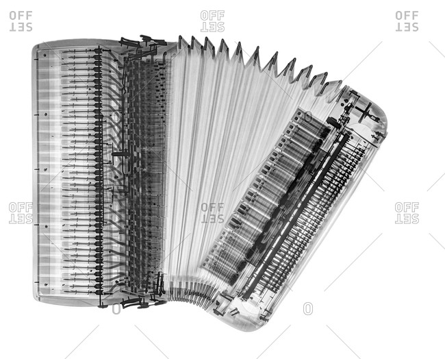 X-ray of an accordion on white background