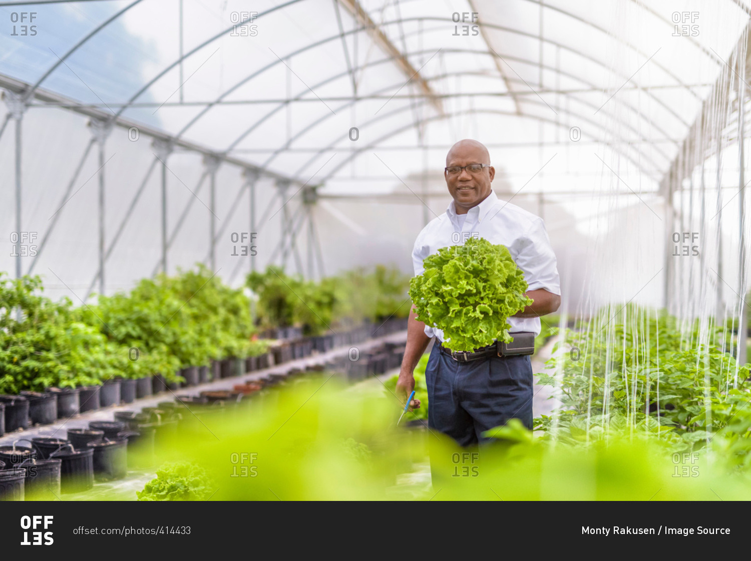 Portrait of manager in Hydroponic farm in Nevis, West Indies