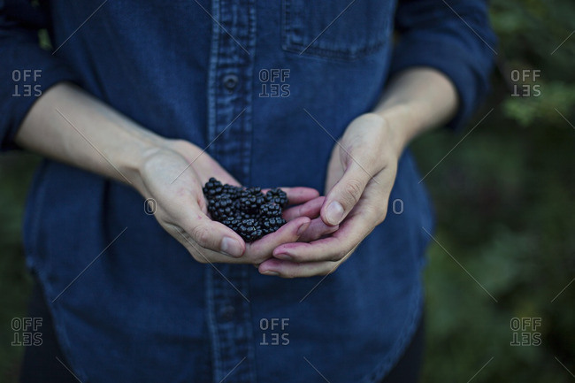 Woman with handful of fresh picked blackberries